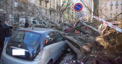 Vento Forte a Milano: Raffiche Fino a 85 Km/h, Scatta l’Allerta Meteo